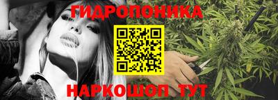 гашик Лесосибирск